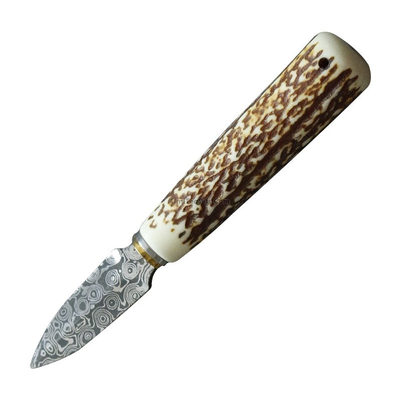 Artisan Antler Tea Knife showcasing its solid wood handle and stainless steel blade, ideal for breaking pu-erh tea cakes.